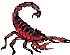 scorpion